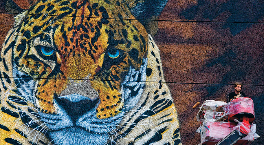 Tiger