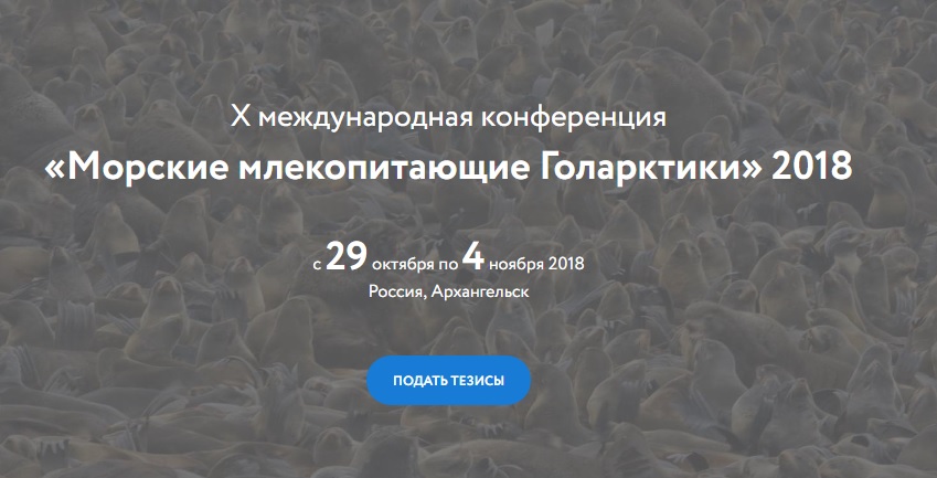 Конференция