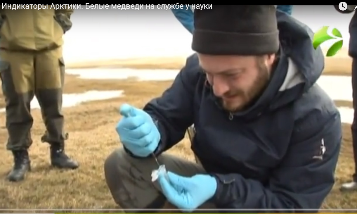 Принтскрин из видео