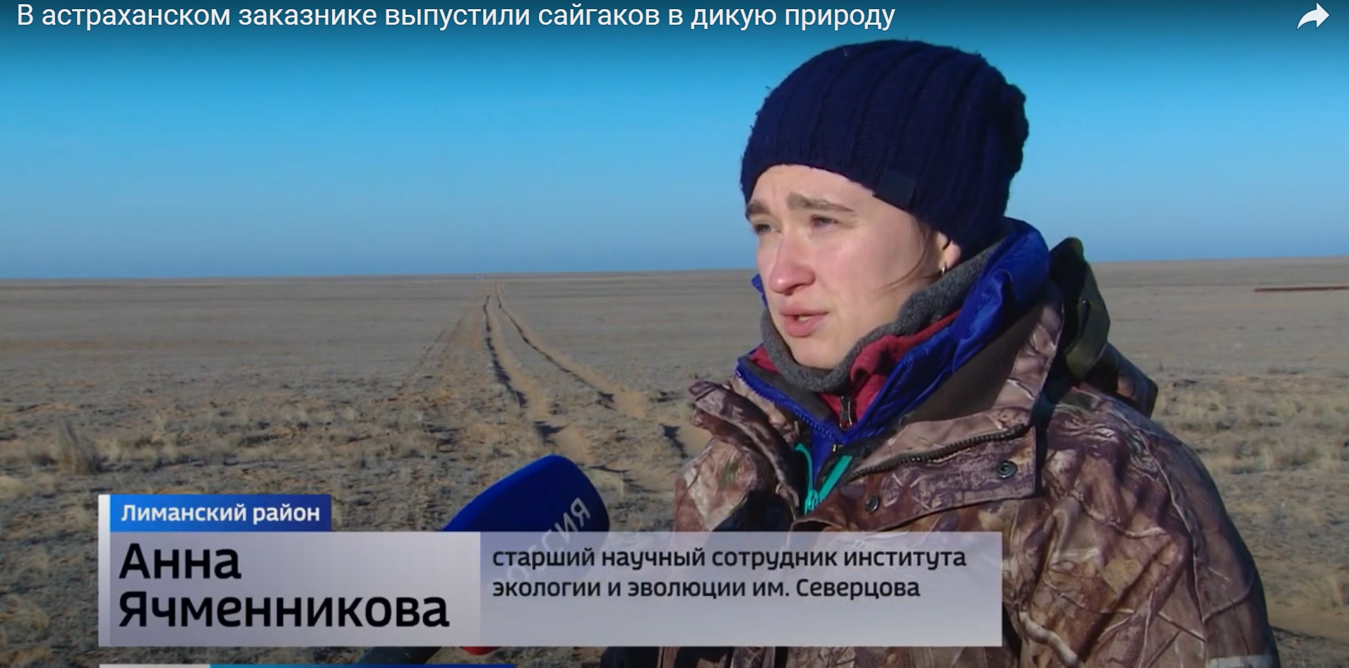Ячменникова