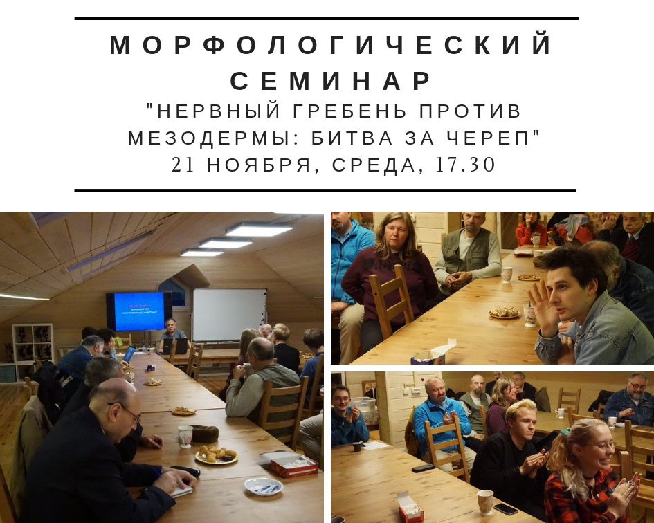 морфологический семинар