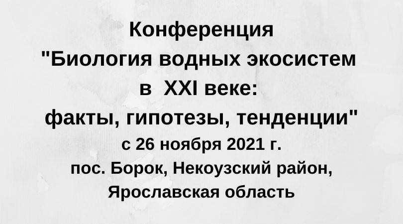 Конференция