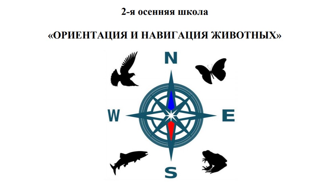 школа