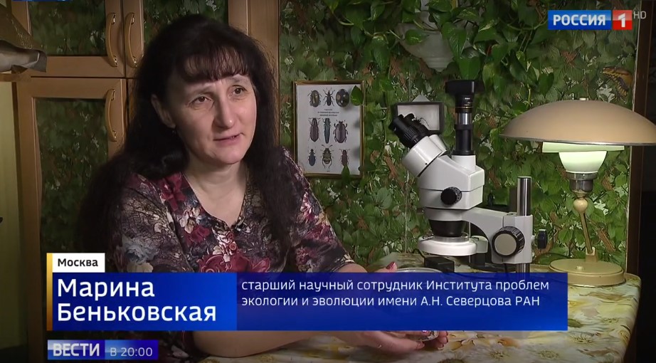 Беньковская