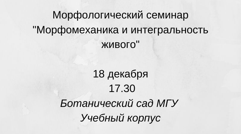 анонс