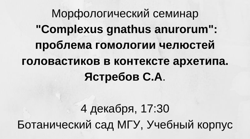 вывы