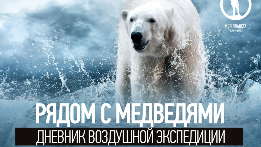 Белый медведь