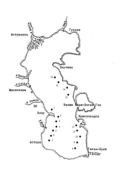 Карта