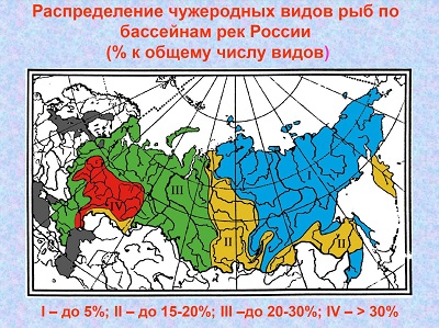 Карта