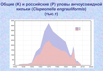 Уловы кильки