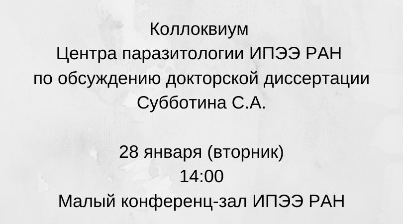 коллоквиум