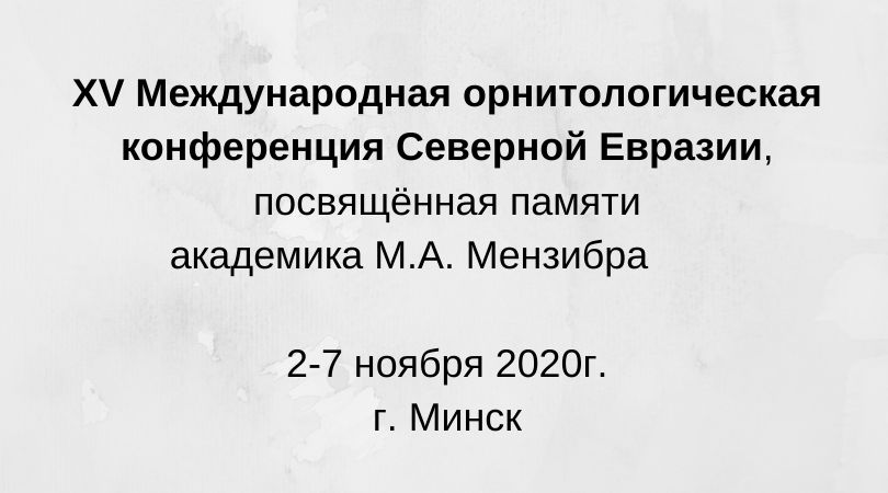 минск