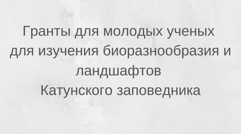 анонс