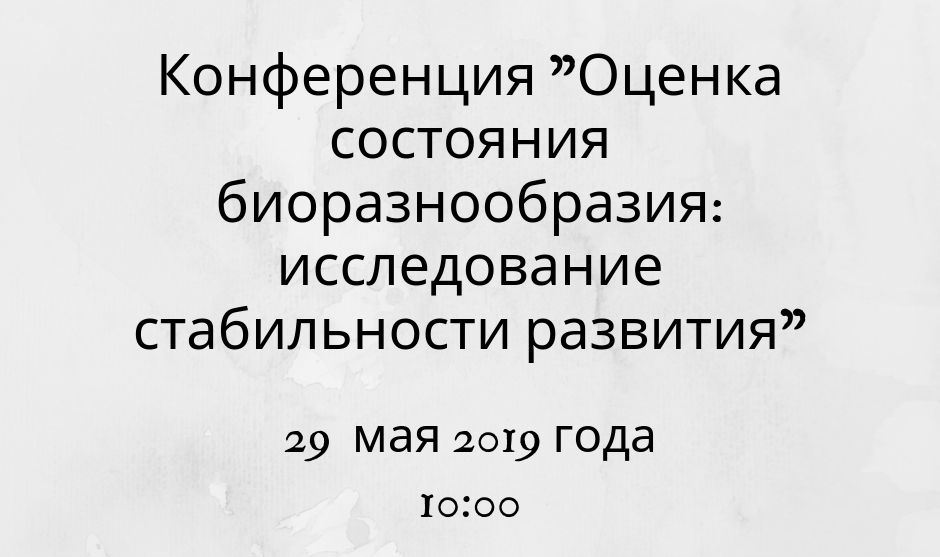 конференция
