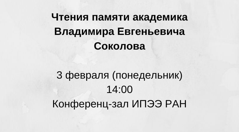 анонс