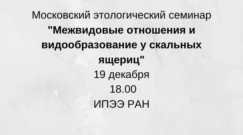 анонс
