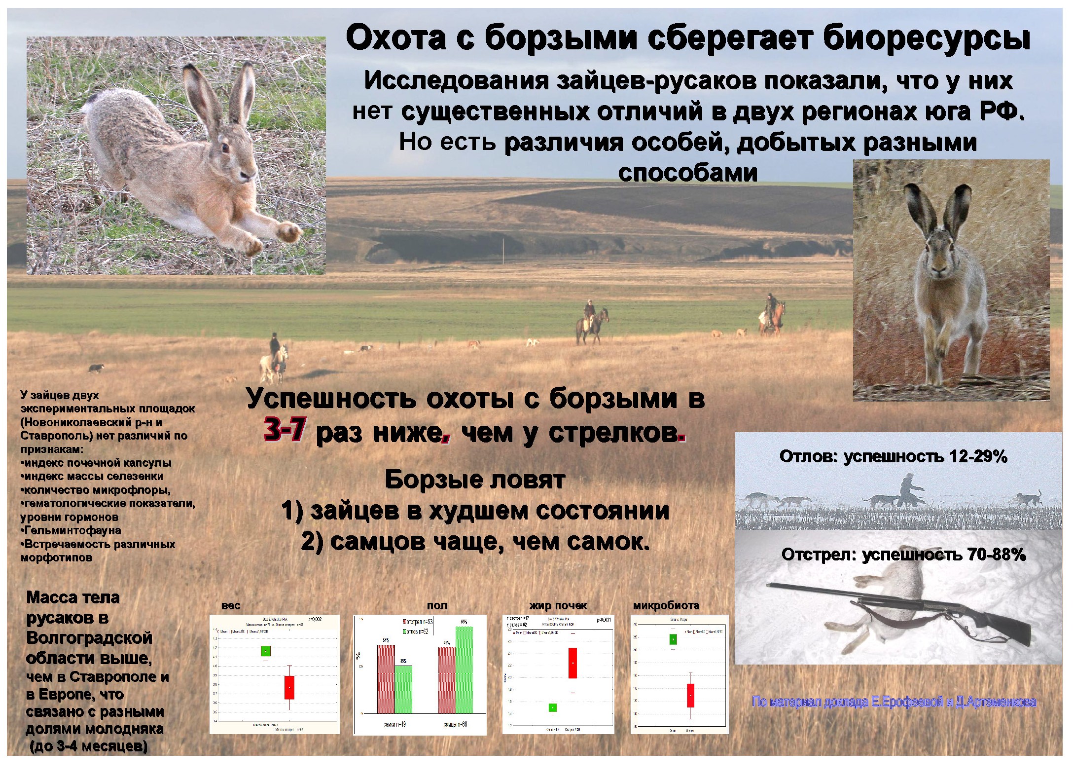 Охота с борзыми