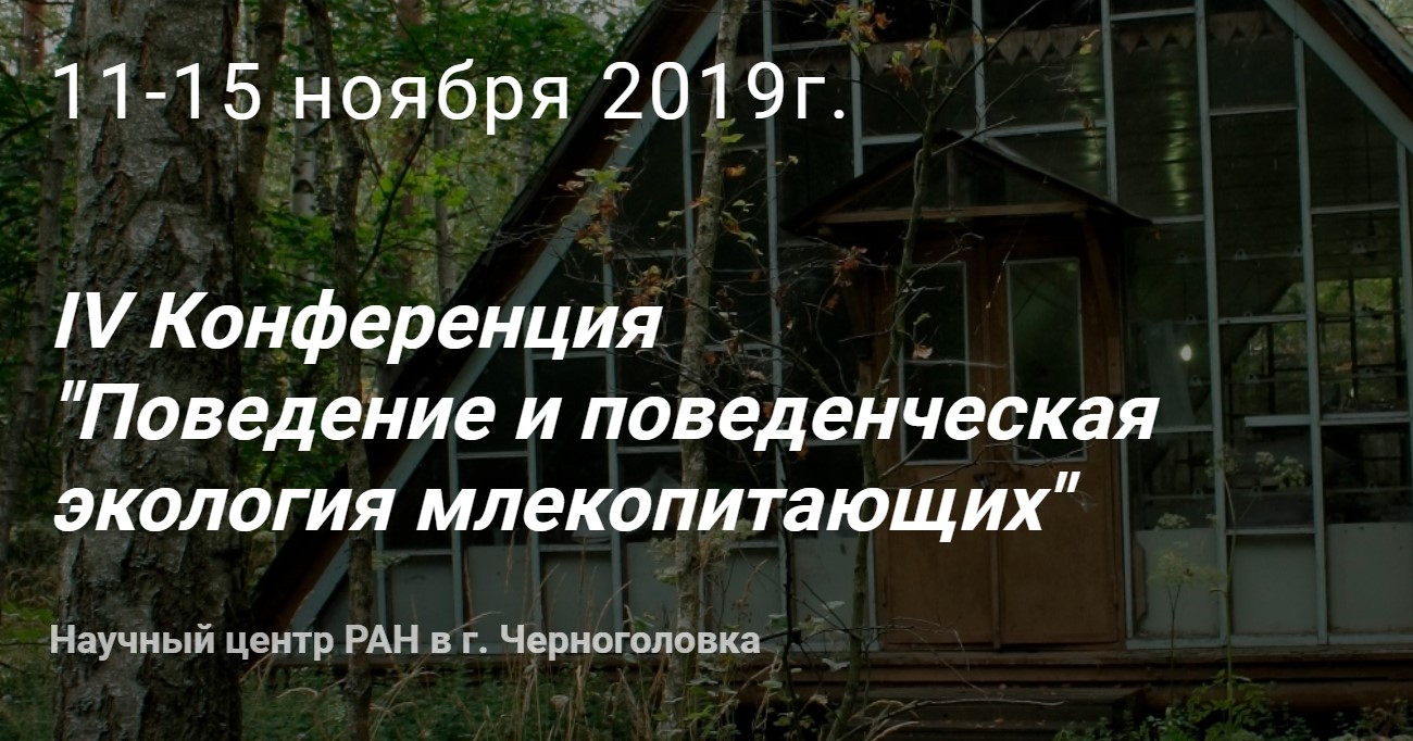 черноголовка