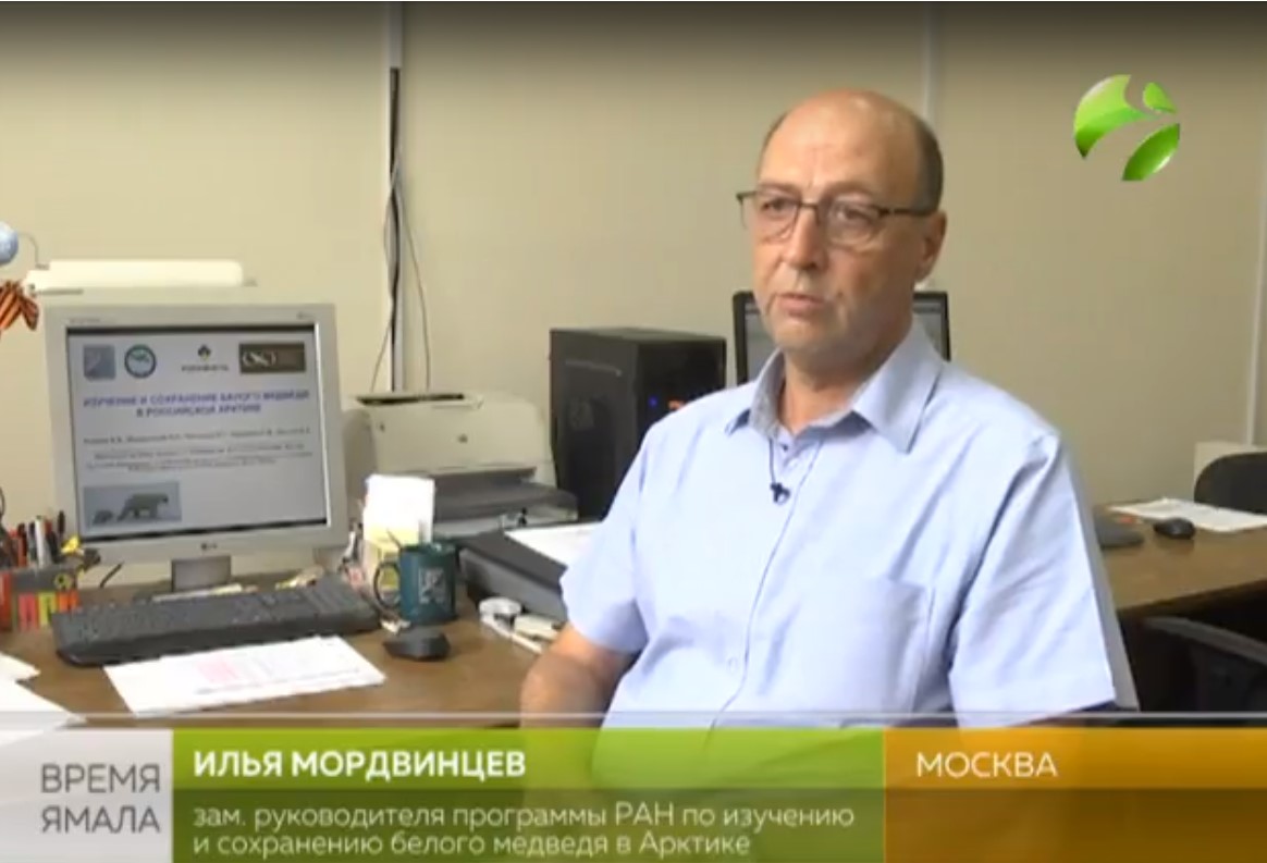 Илья Мордвинцев