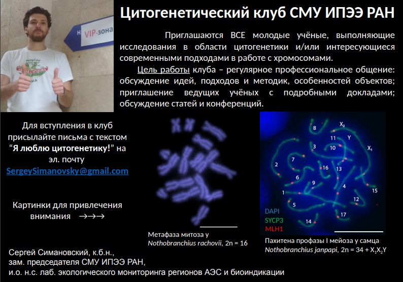 анонс