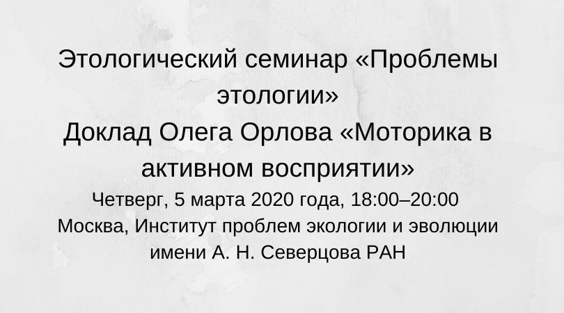 анонс
