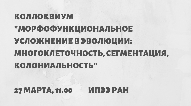 анонс