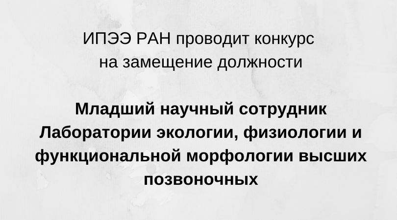 вакансия