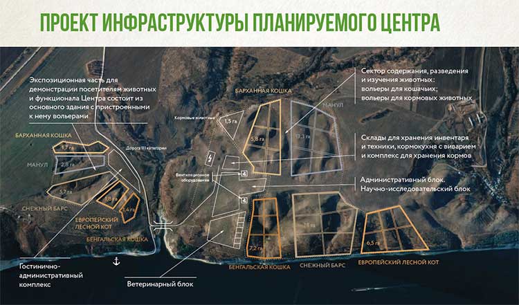 Инфографика 3