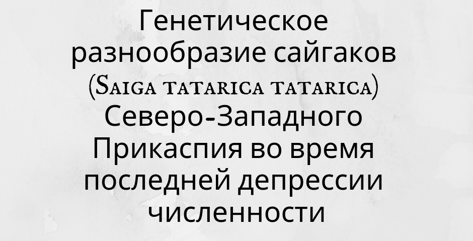 Диссертация
