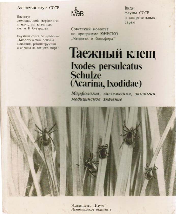 Количество видов зоогельминтов, представленных коллекции, по географическим регионам России