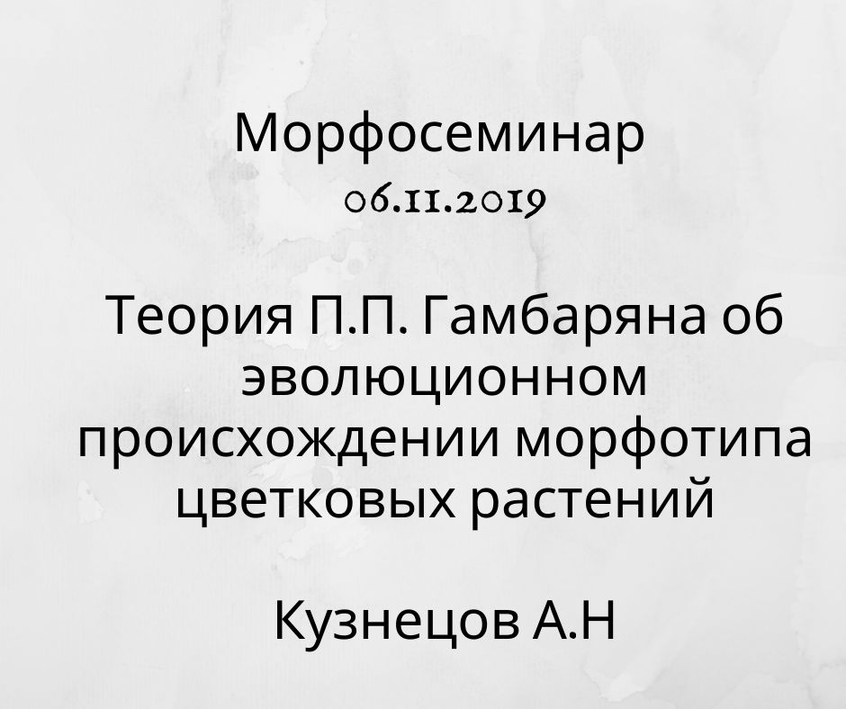 морфсеминар