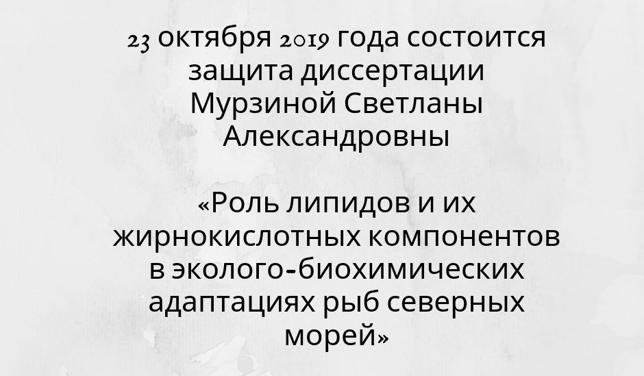 анонс