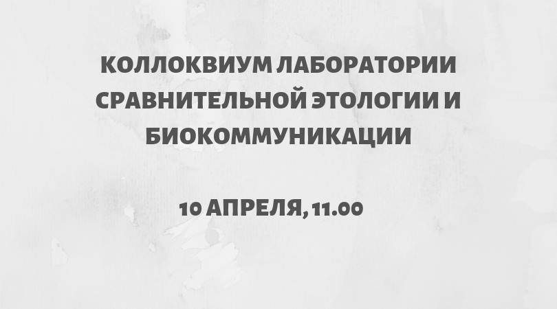 анонс