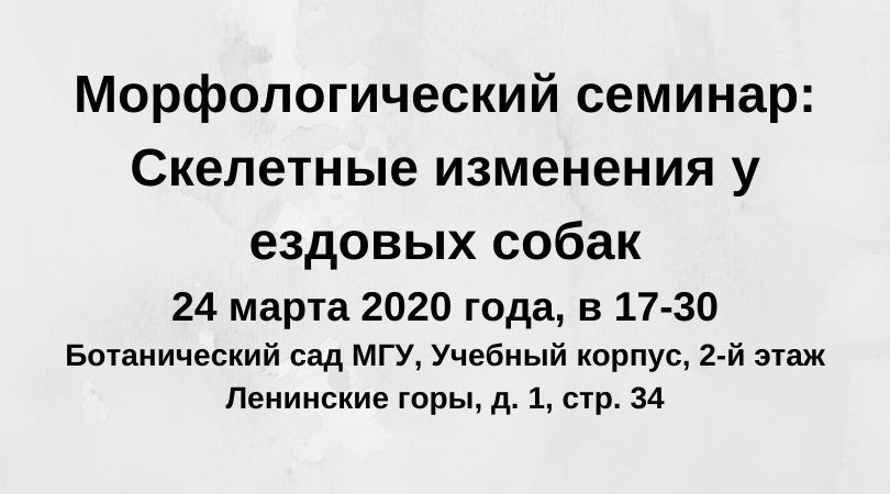 Морфосеминар 24.03.2020: Скелетные изменения у ездовых собак. Васюков Д.Д.