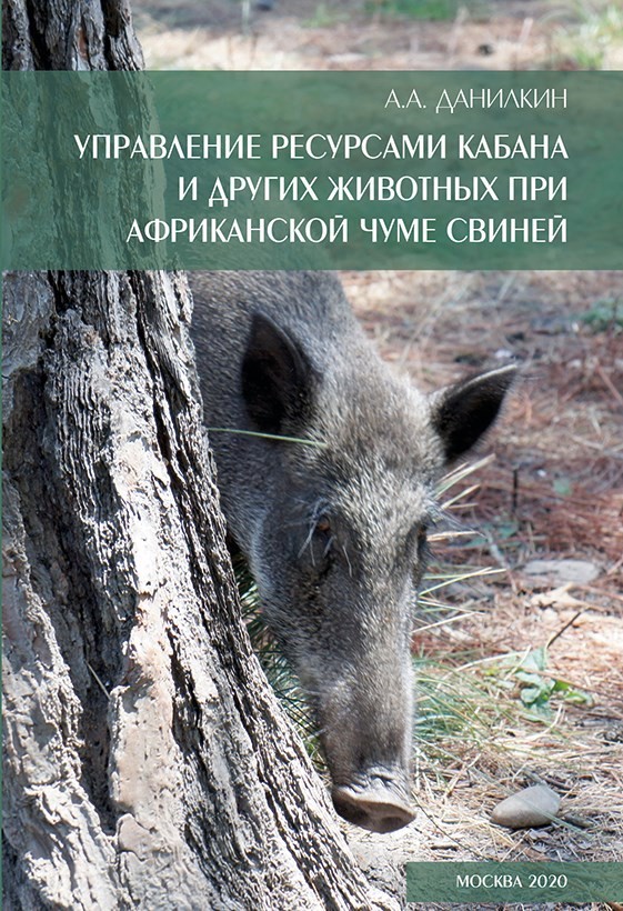 обложка с кабаном