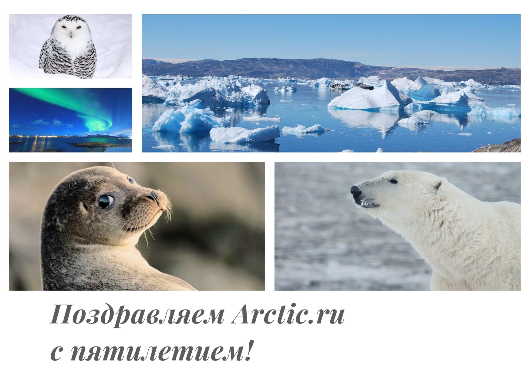 Открытка
