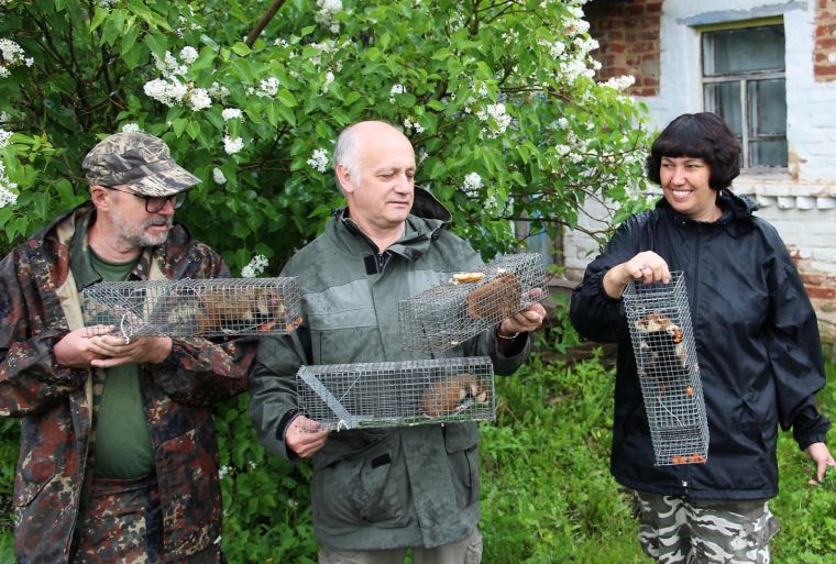 Перед выпуском проснувшихся зверьков обратно в свои норки
