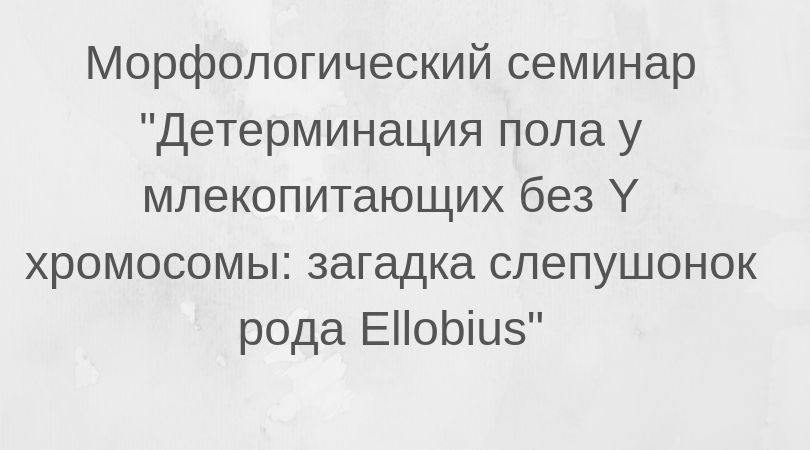 анонс