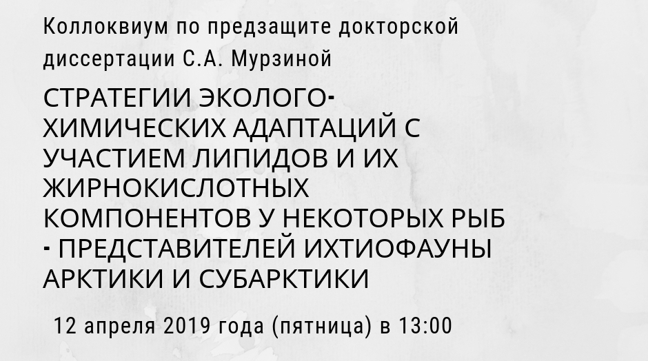 коллоквицем