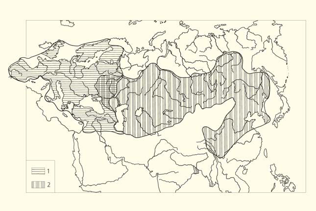 Карта