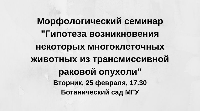 семинар