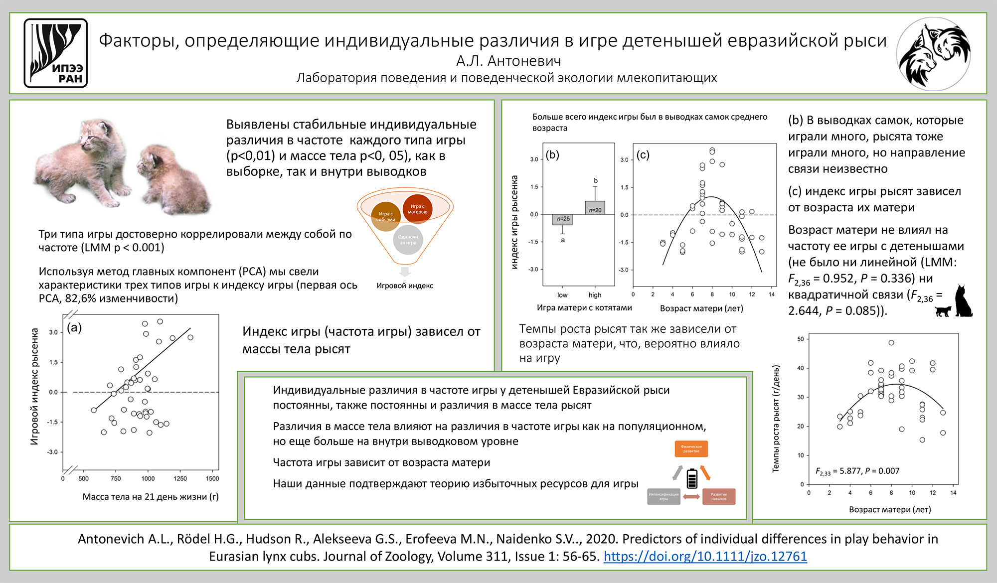 Антоневич