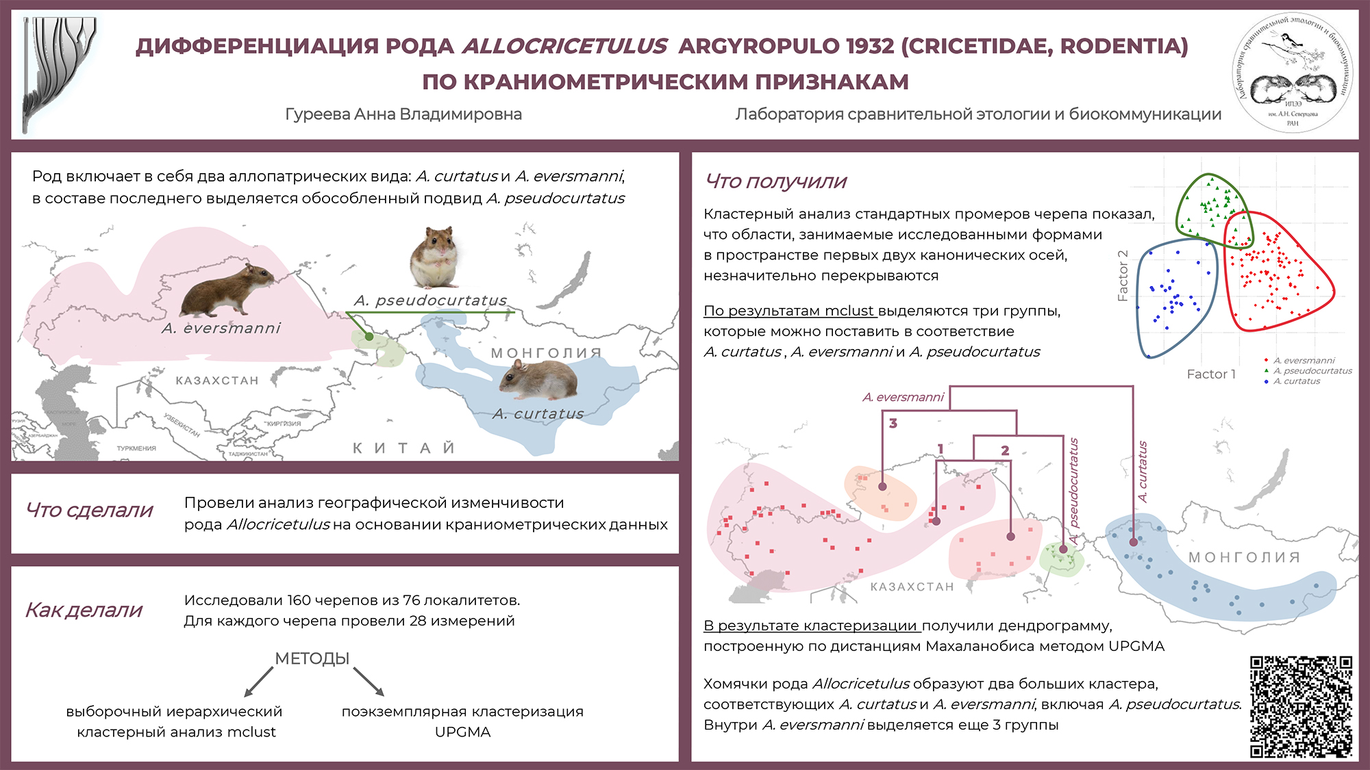 Гуреева