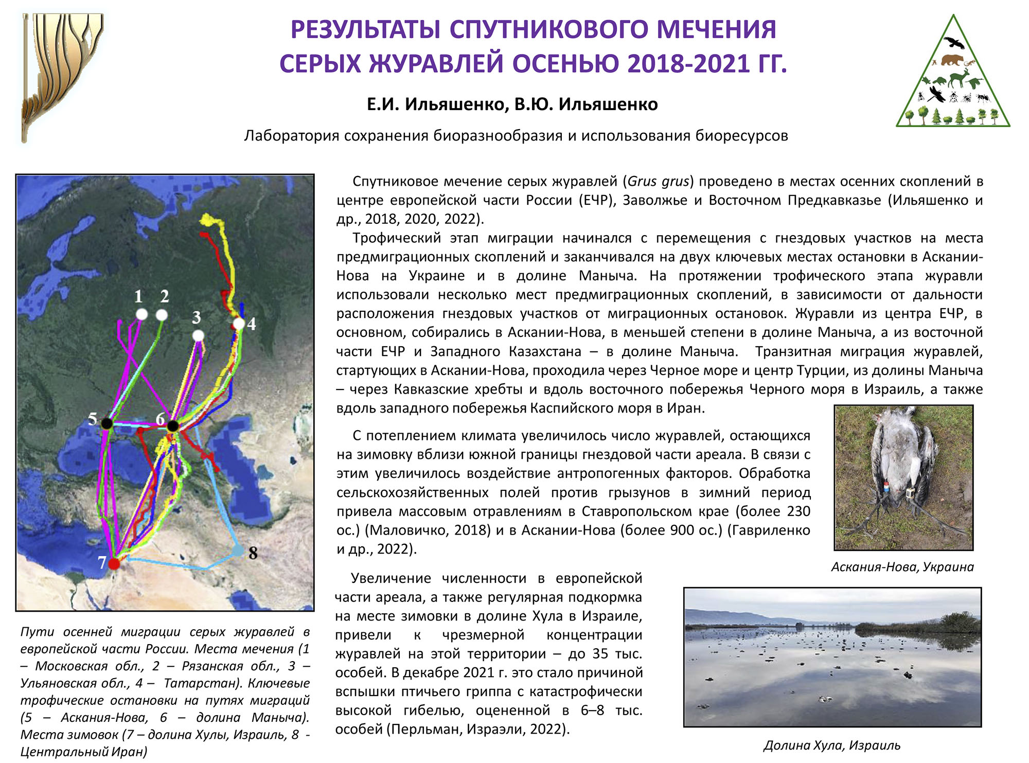Ильяшенко