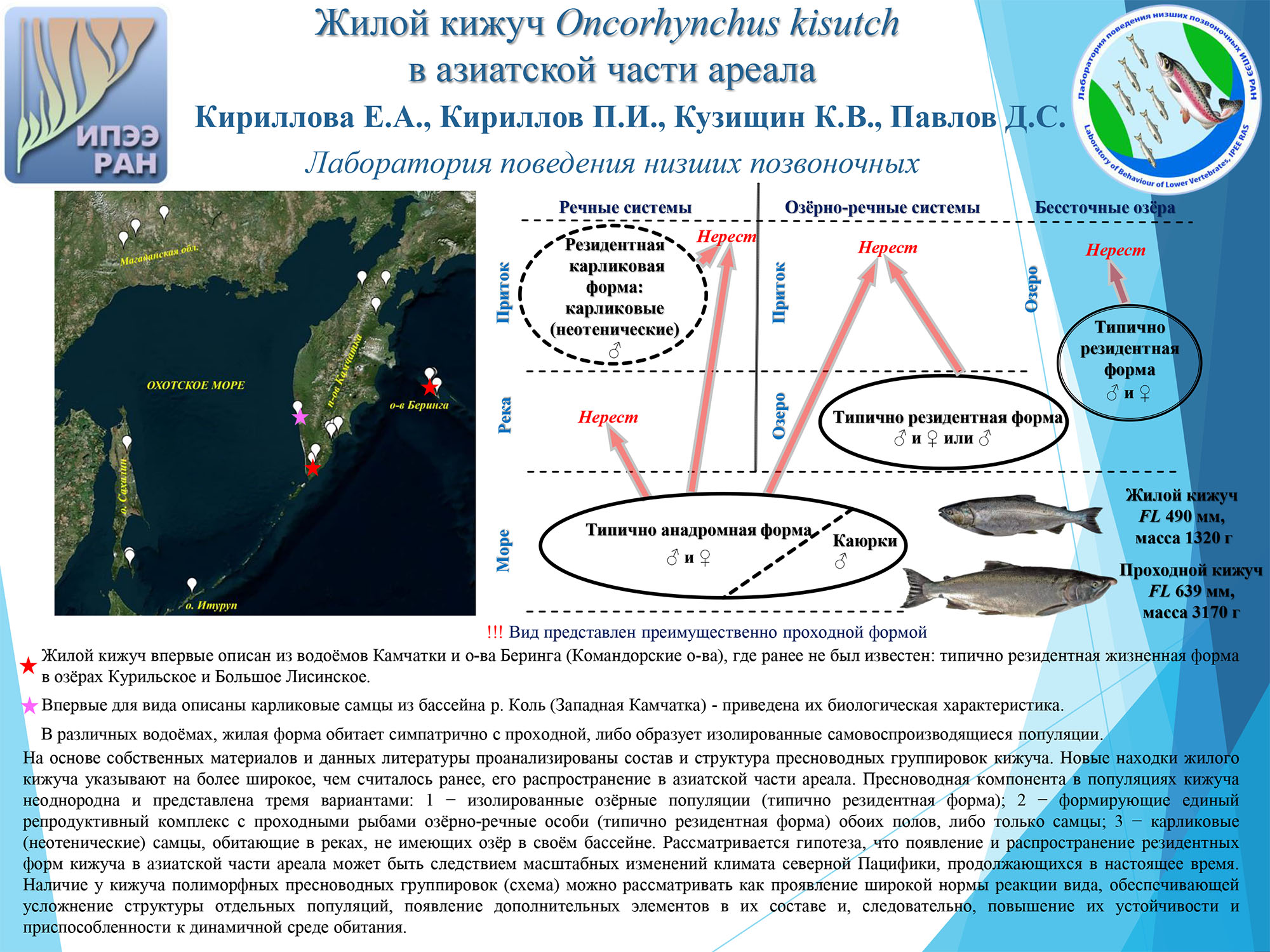 Жилой кижуч