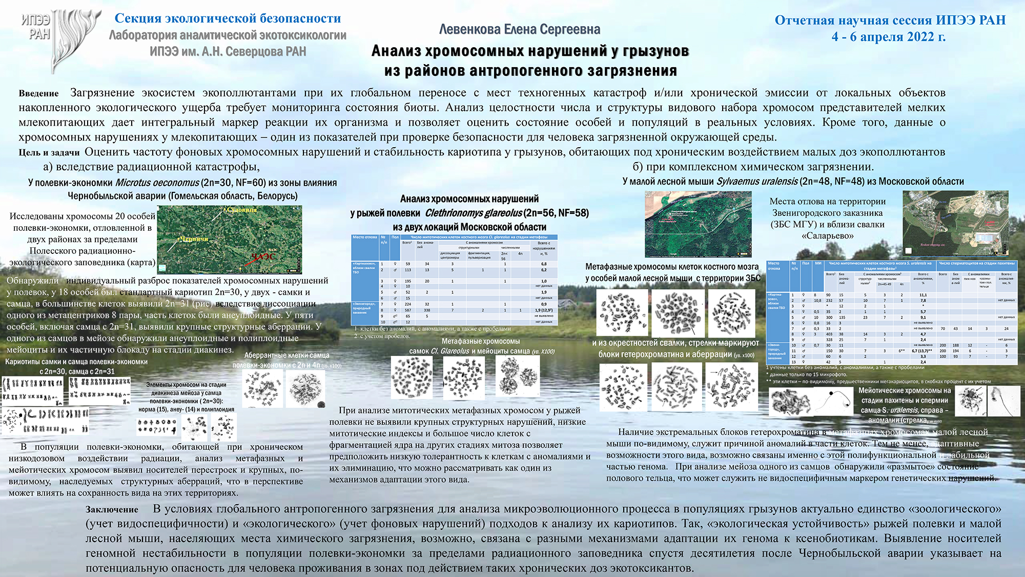 левенкова