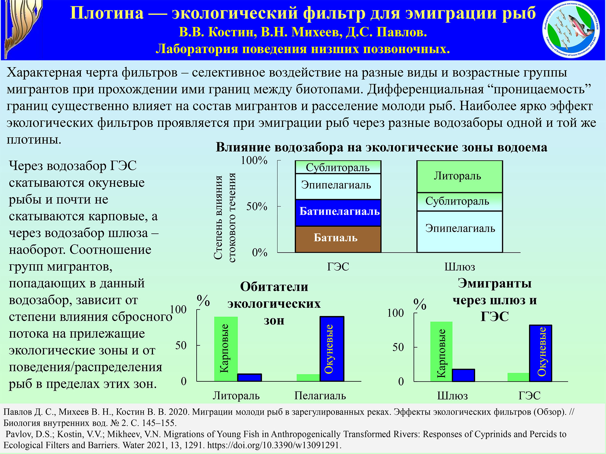 Михеев Костин
