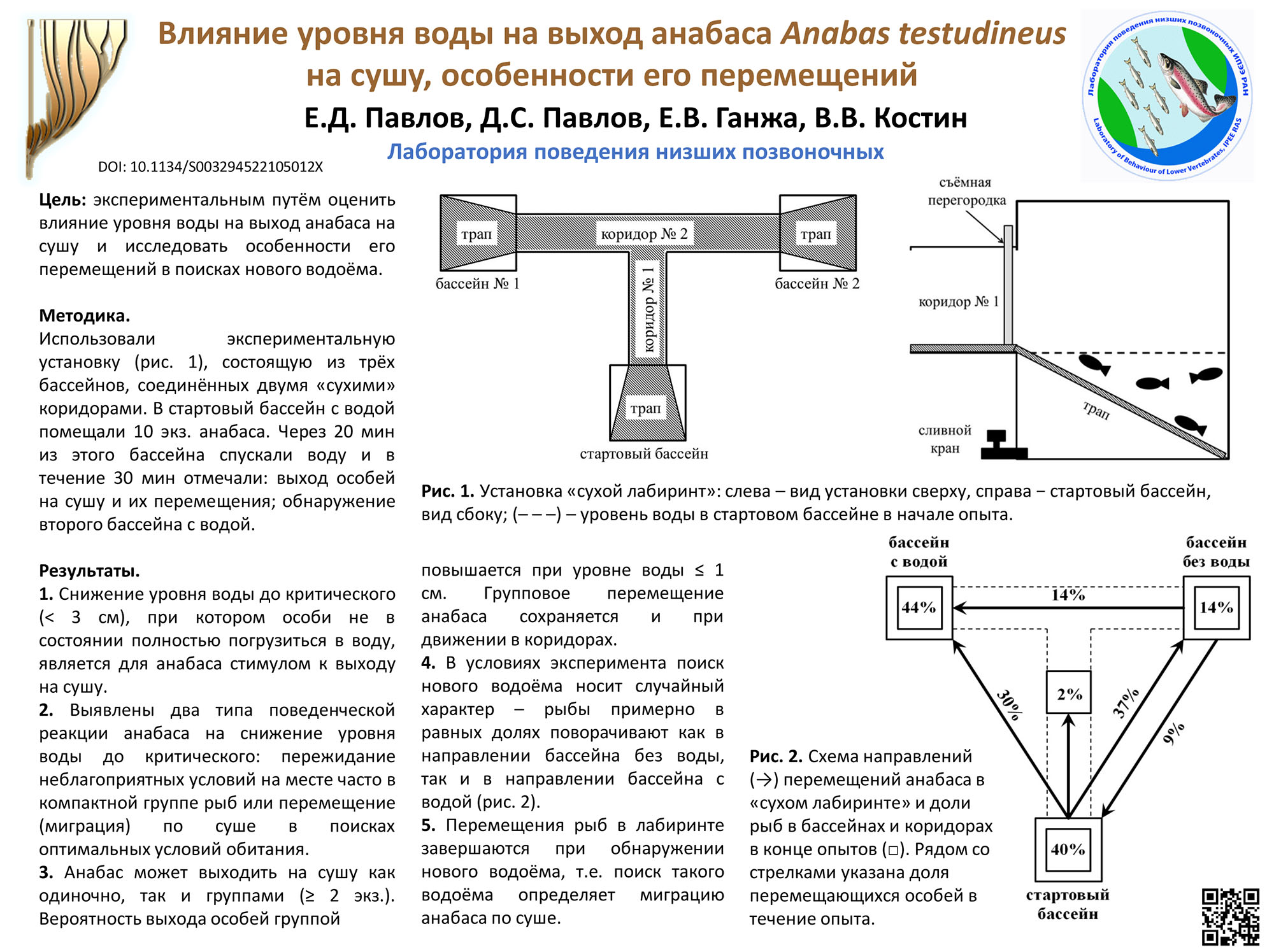 Павлов, Ганжа