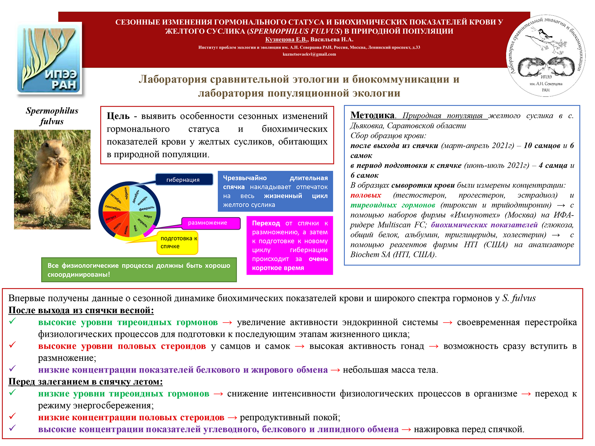 кузнецова