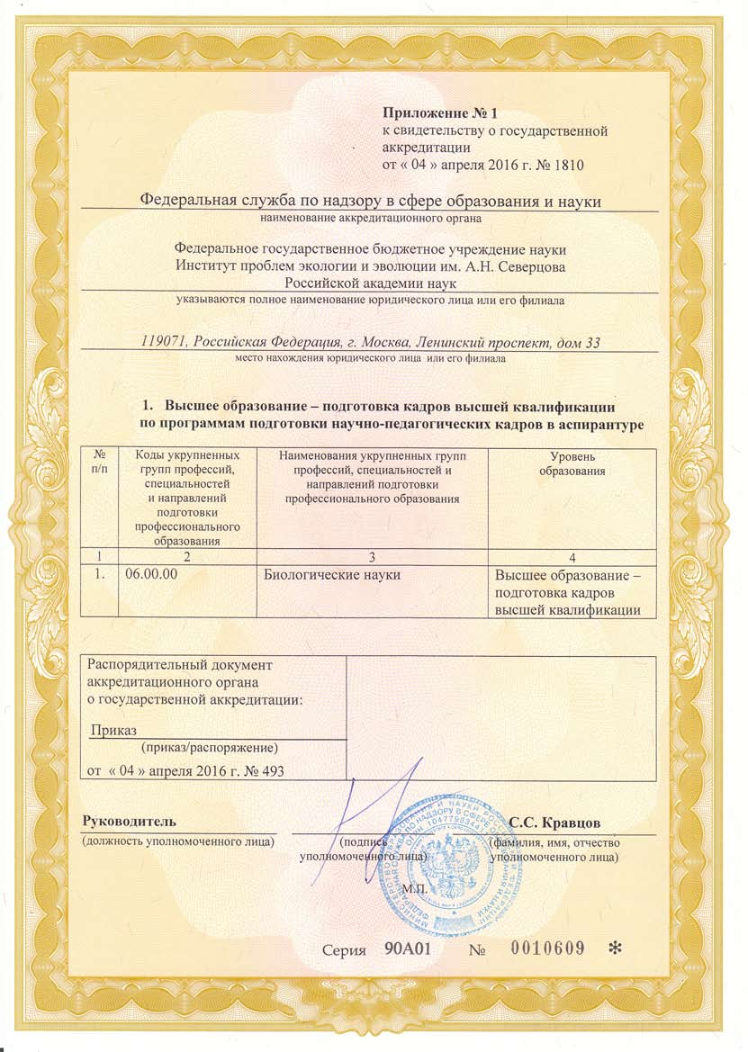 Приложение 1.1